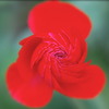 Many thanks