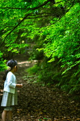 森 の 音