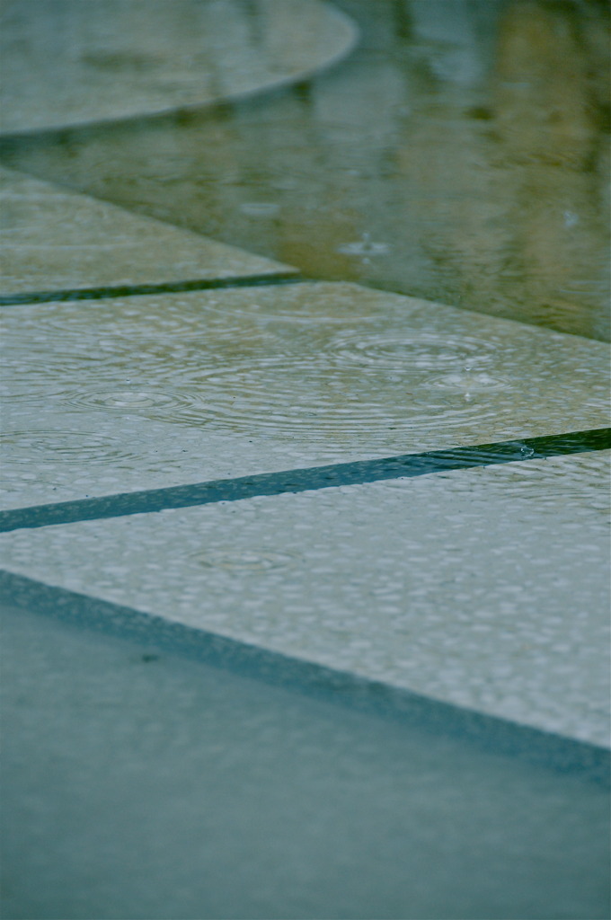 ちいさな 雨　「あたらしい　みち」