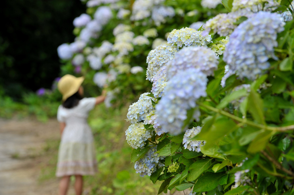 花に囲まれて