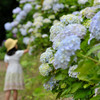 花に囲まれて