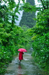 雨 の 小道