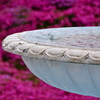 Fountain