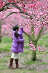 花色に包まれて