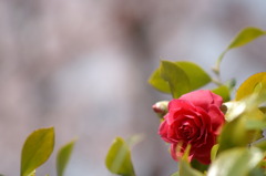 PICT0141