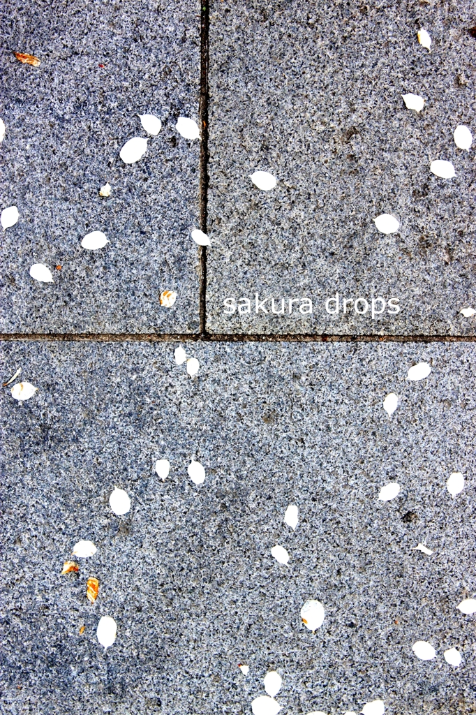 sakura drops