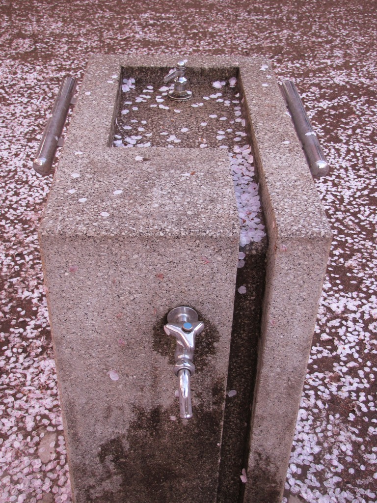 水道水は桜色