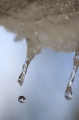 Icicle