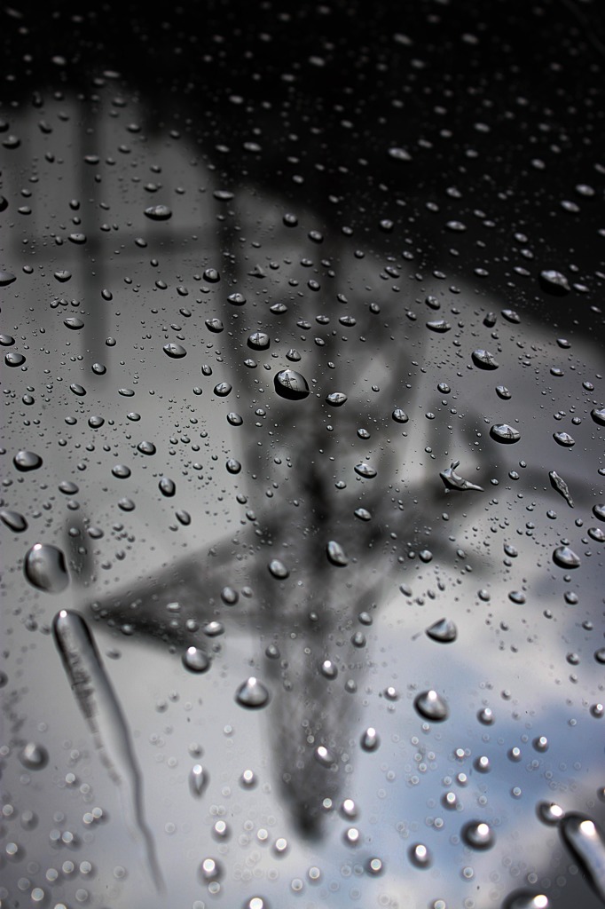 雨粒の中の