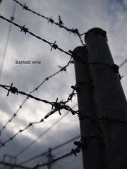 Barbed wire　Ⅱ