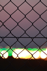 フェンス内の宝石