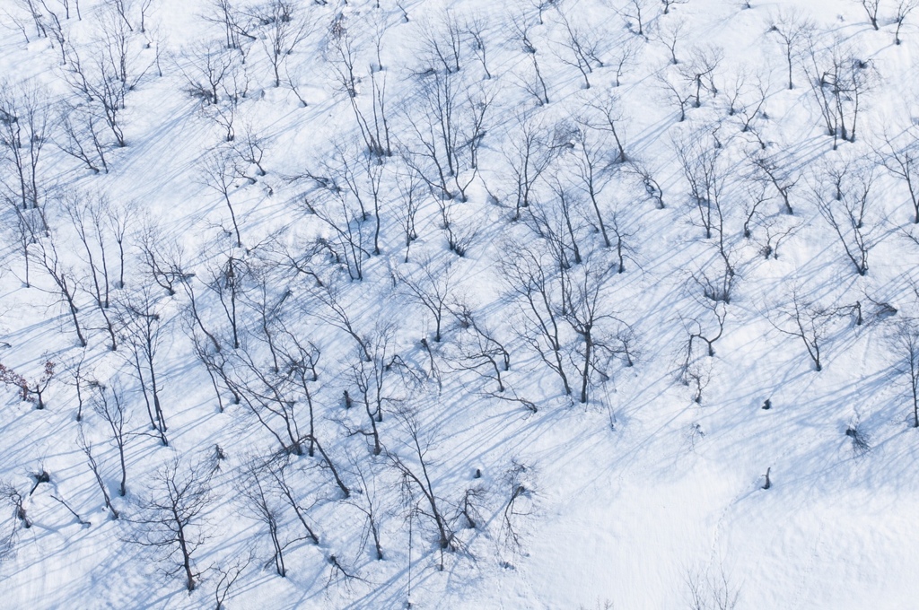 雪の山肌