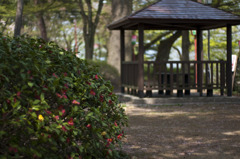 ト有る公園にて