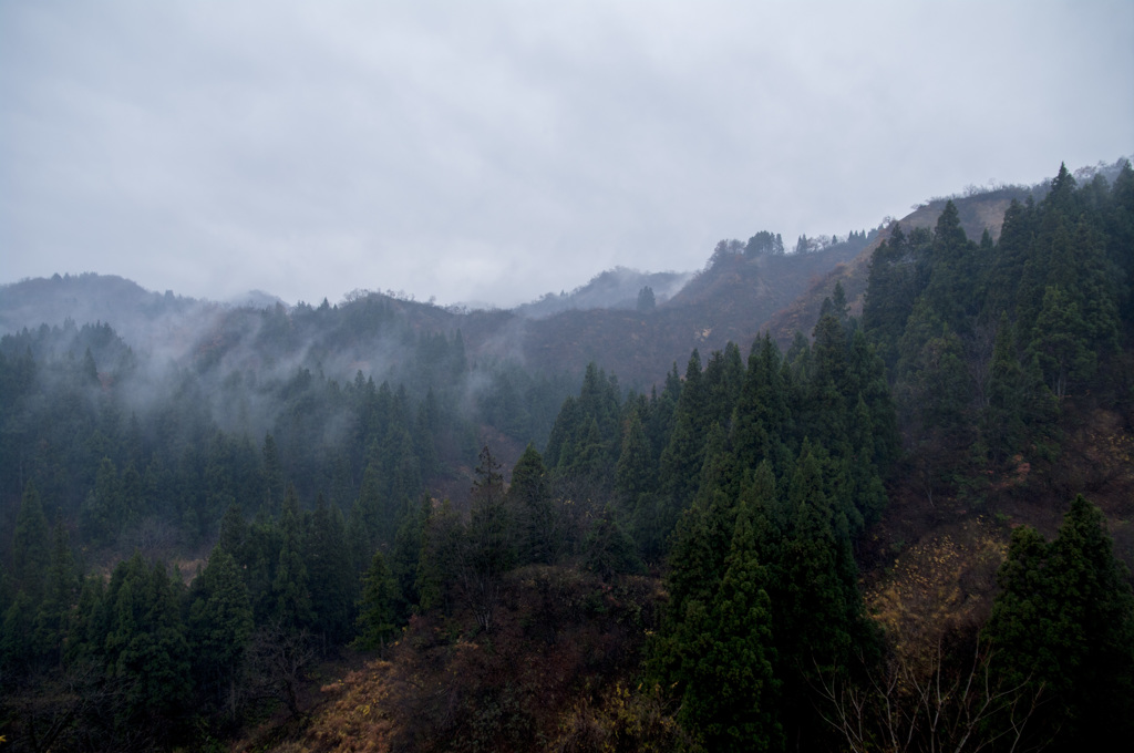 小雨降る里山