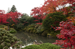 逍遥園の紅葉