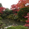 逍遥園の紅葉