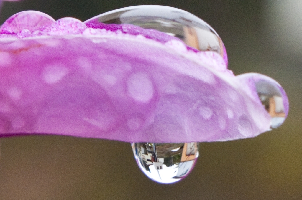 雨の滴の小さな世界