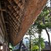 白川郷の合掌造り