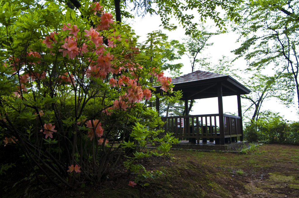 雨上がりの公園