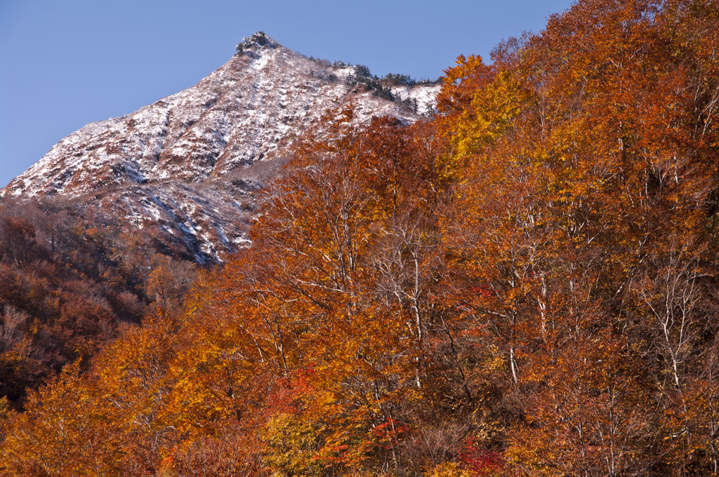 雪と紅葉