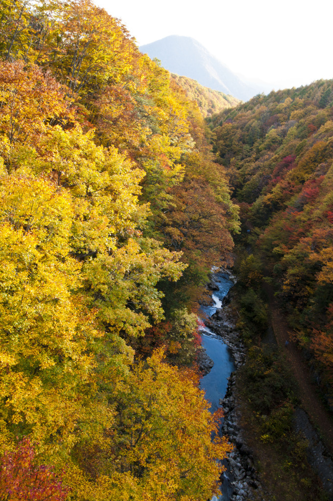 中津川渓谷の紅葉