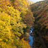 中津川渓谷の紅葉