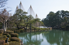 兼六園・唐崎松