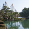 兼六園・唐崎松