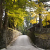 日光山輪王寺裏道