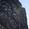 コインの岩