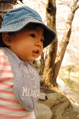川に夢中