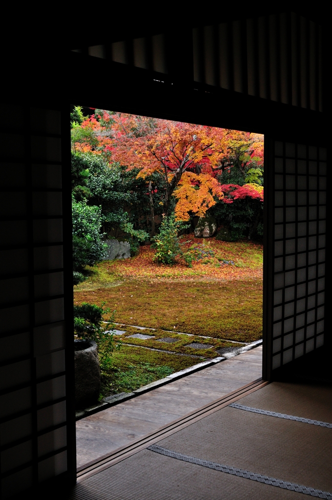 秋の庭園