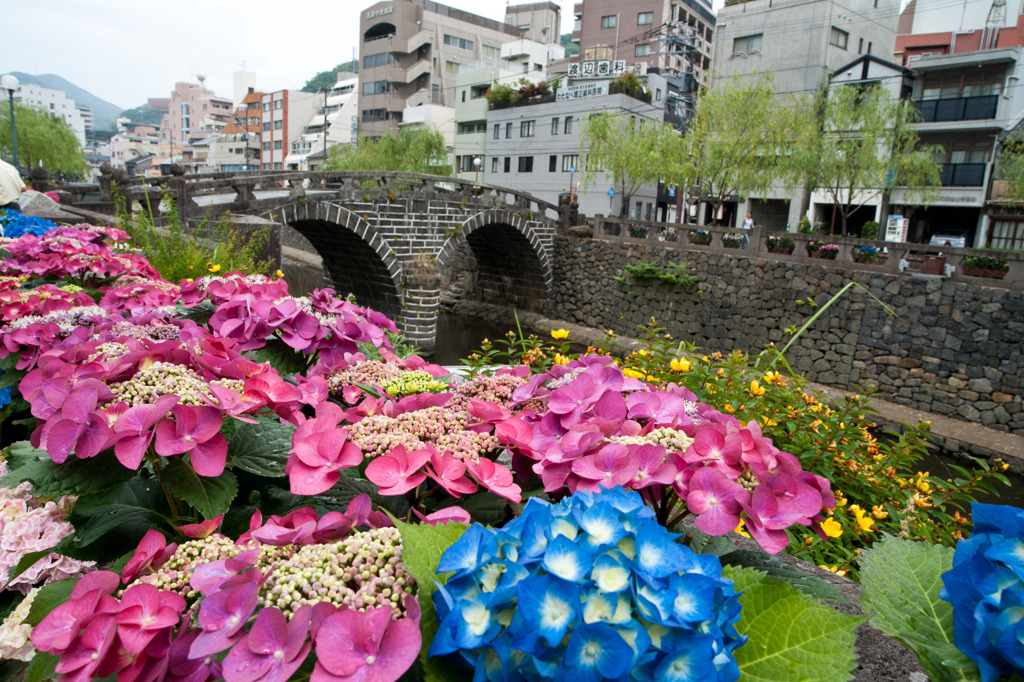 ながさき紫陽花まつり (2)