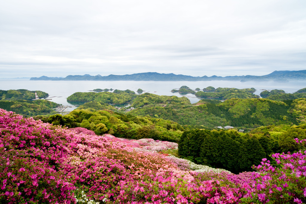 新緑の九十九島と長串山公園のツツジ