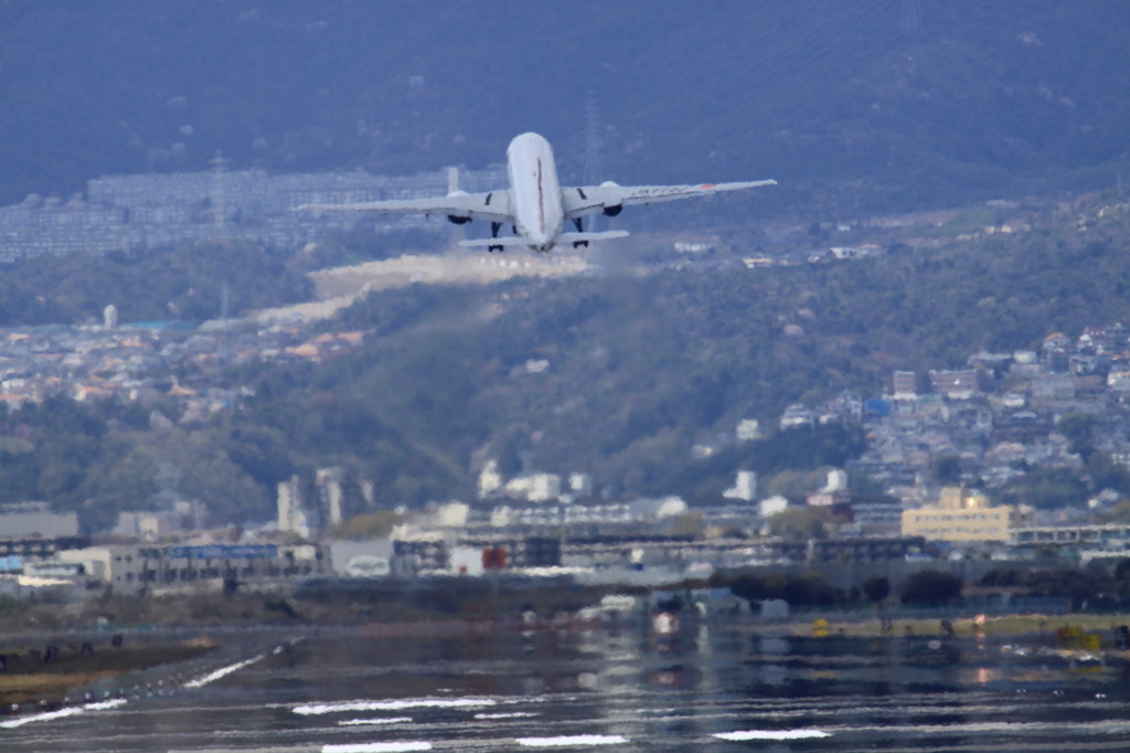 うまく飛べました