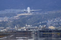 うまく飛べました