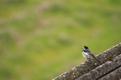 どこへ行こうかな～