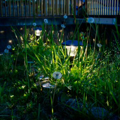 tidy up a garden