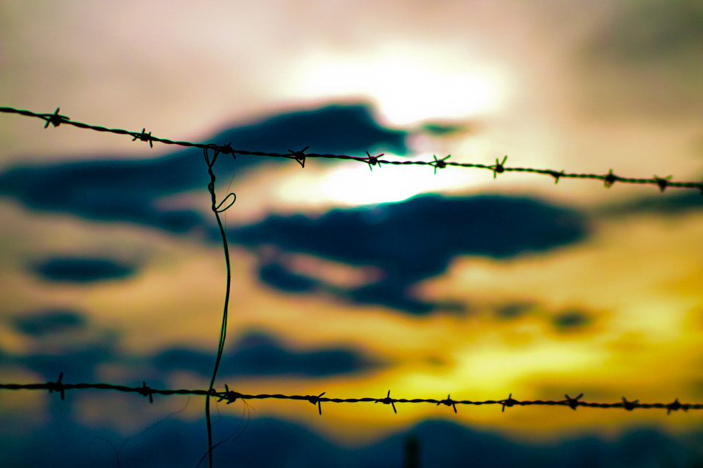 barbed wire