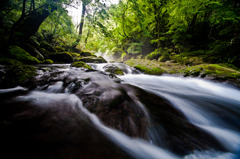 a narrow gorge with a stream running thr