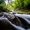 a narrow gorge with a stream running thr