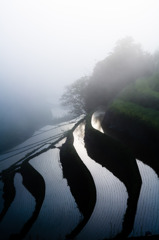 terraced rice-fields