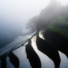 terraced rice-fields