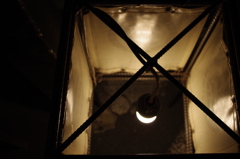 箱庭の優しい光