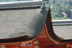2010_0321_225152-IMGP5453
