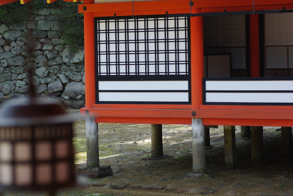 2010_0321_222155-IMGP5369