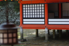2010_0321_222155-IMGP5369
