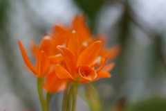 2010_0322_010851-IMGP5624