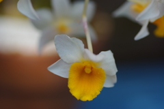2010_0322_010951-IMGP5642