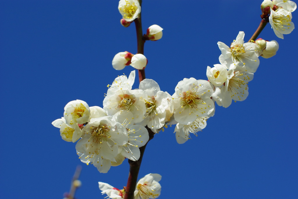 2010_0227_223904-IMGP4676
